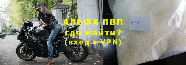 дживик Новокубанск
