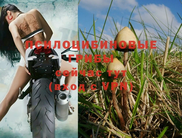 МДМА Новодвинск
